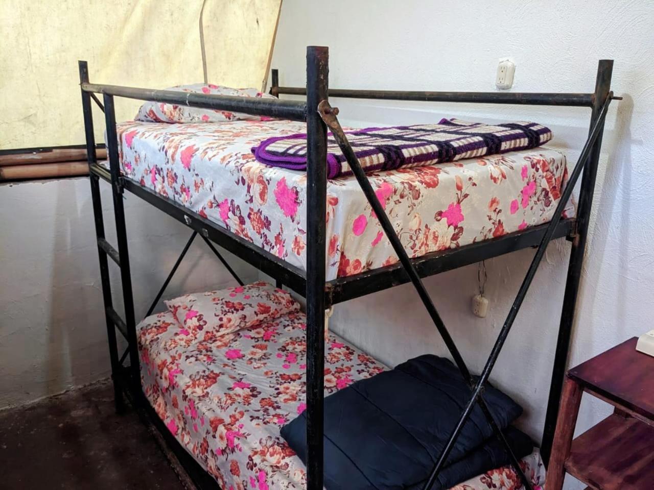 Auberge de jeunesse Tz'unun Ya' Rec Center à San Pedro de la Laguna Chambre photo